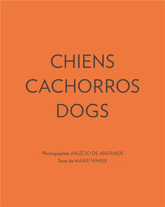 Chiens, Cachorros, Dogs